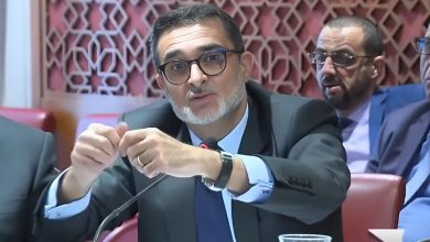 العرايشي: “هولدينغ القطب العمومي” قرار حكومي واقتربنا من امتلاك “دوزيم”