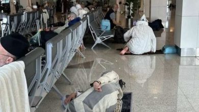 صورة من الأرشيف